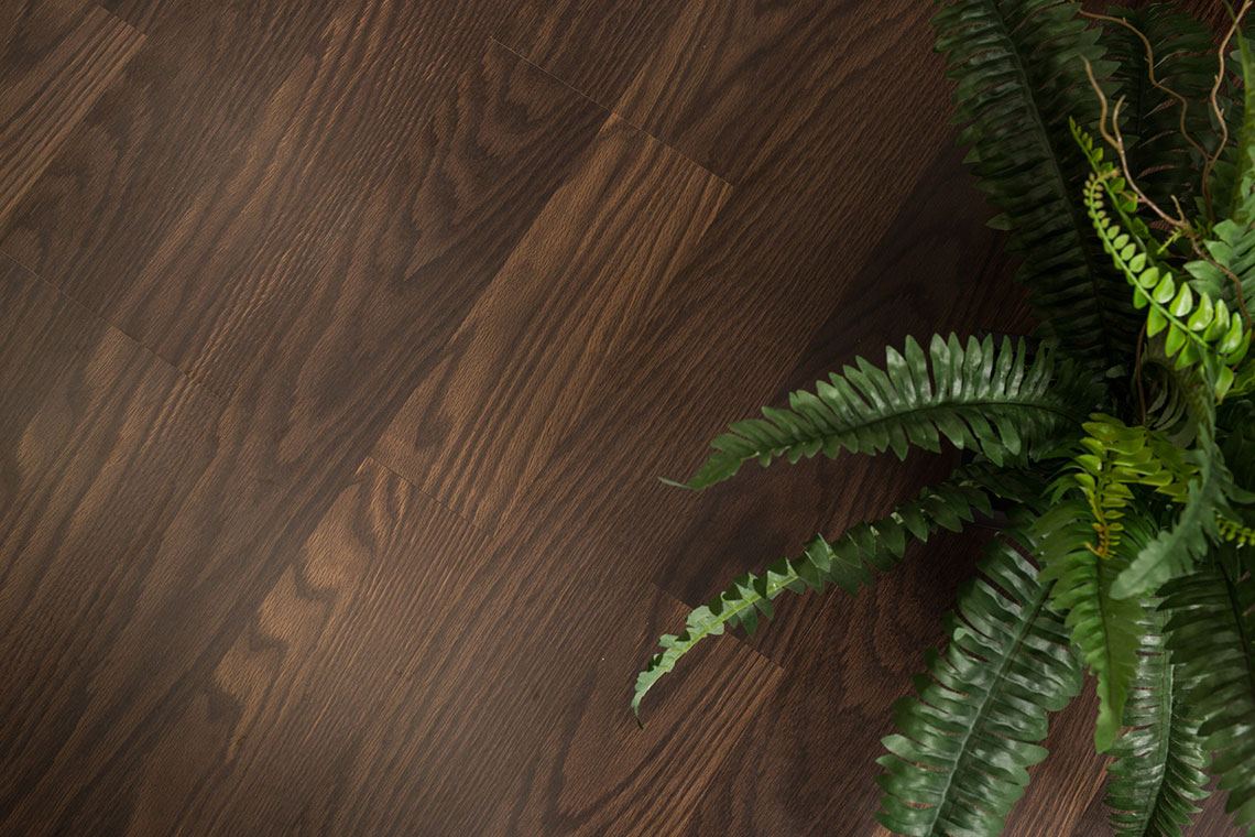 clarion-forest-view-chocolate-detail