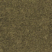 Plush Carpet