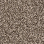 Plus Carpet