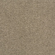 Plush Carpet