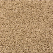 Plush Carpet