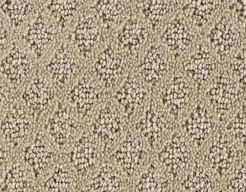 Carpet Design